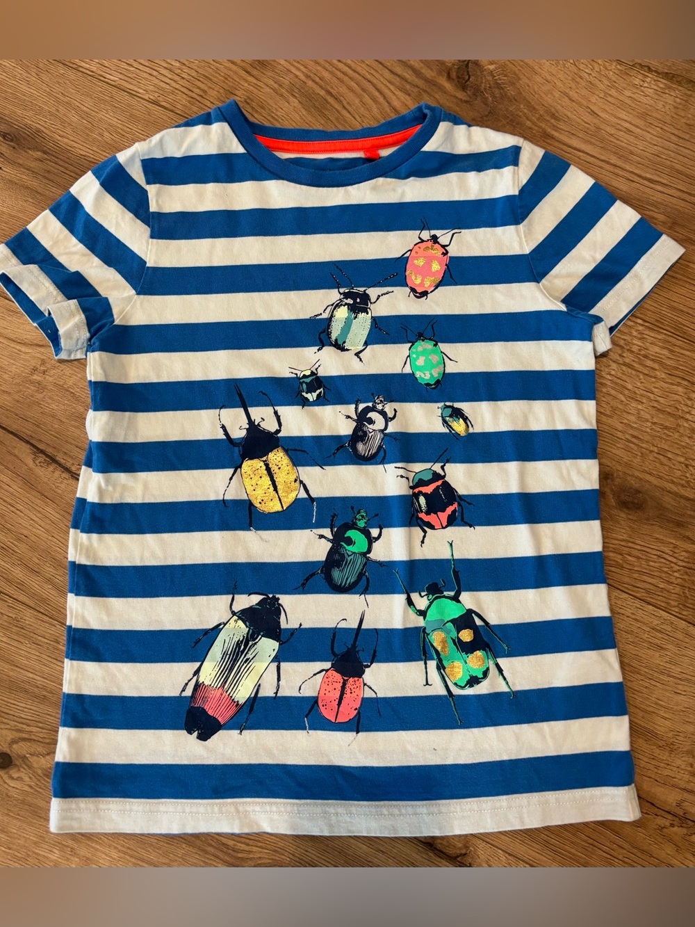 Mini Boden Metallic Insect Graphic T-Shirt Blue White Stripe Boy 9-10